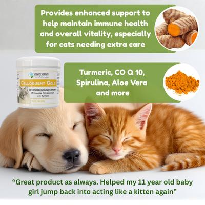 Show full view: Vitality Science Celloquent Gold Multi-Nutrient Immune Support Powder Supplement for Cats, 60-gr slide 3 of 6