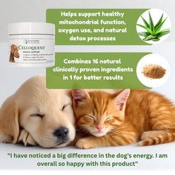 Vitality Science Celloquent Multi-Nutrient Immune Support Powder Supplement for Dogs, 120-gr slide 2 of 5