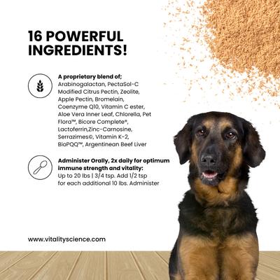 Show full view: Vitality Science Celloquent Multi-Nutrient Immune Support Powder Supplement for Dogs, 60-gr slide 4 of 6