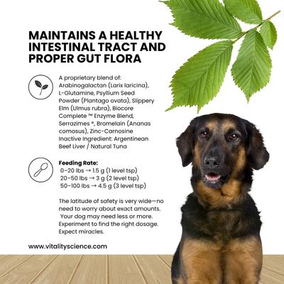 Show full view: Vitality Science Canine Comfort Beef Liver Formula Digestive Aid Powder Supplement for Dogs, 98 g slide 4 of 6