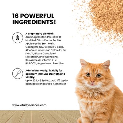 Show full view: Vitality Science Celloquent Multi-Nutrient Immune Support Powder Supplement for Cats, 60-gr slide 4 of 6