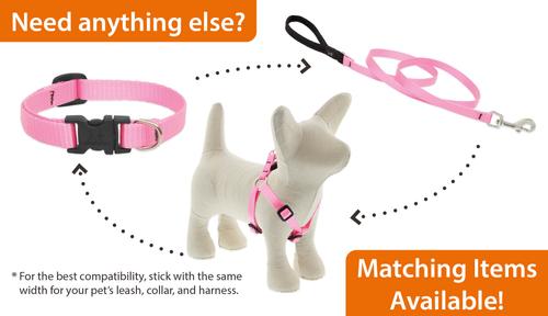 Show full view: LupinePet Basic Solid Dog Training Leash, 30-ft long, 1/2-in wide, Green, 30-ft long, Standard slide 3 of 5