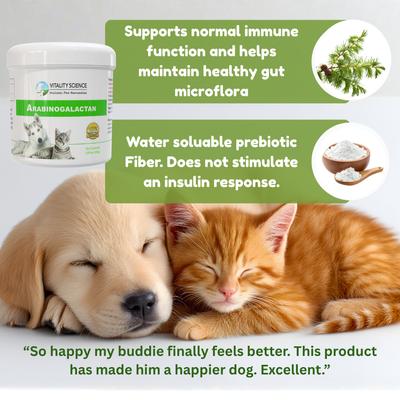 Show full view: Vitality Science Arabinogalactan Immune Support Powder Supplement for Dogs & Cats, 220-gr slide 3 of 6