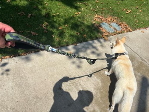 Show full view: Shed Defender Three Handle Bungee Reflective Dog Leash, Camo, 4 to 7-ft long, 1-in wide slide 7 of 11