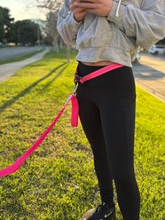 Shed Defender Attaches to any Leash Hands-Free Dog Leash Belt, Pink slide 2 of 8