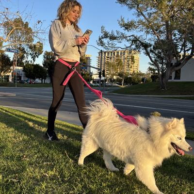 Show full view: Shed Defender Attaches to any Leash Hands-Free Dog Leash Belt, Pink slide 6 of 11