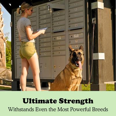 Show full view: Doghook Ultimate Leash Hitch Dog Tie Out slide 5 of 10