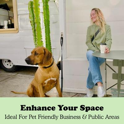 Show full view: Doghook Compact Leash Hitch Dog Tie Out slide 5 of 10