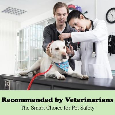 Show full view: Doghook Compact Leash Hitch Dog Tie Out slide 6 of 10