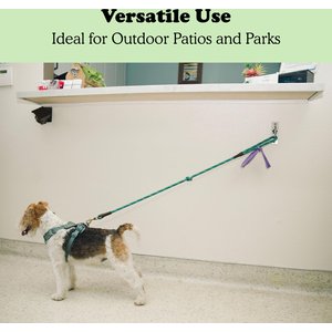 Doghook Slim Dog Leash Wall Hook with Clip