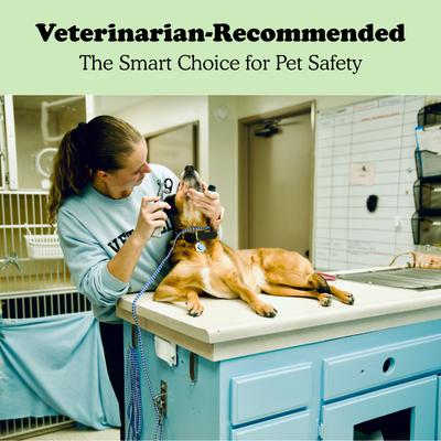 Show full view: Doghook Slim Dog Leash Wall Hook with Clip slide 6 of 10