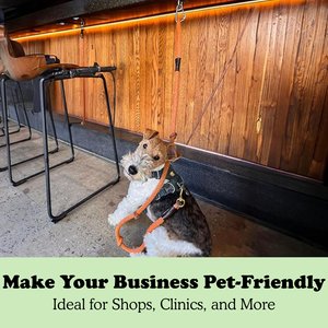 Doghook Slim Dog Leash Wall Hook with Clip