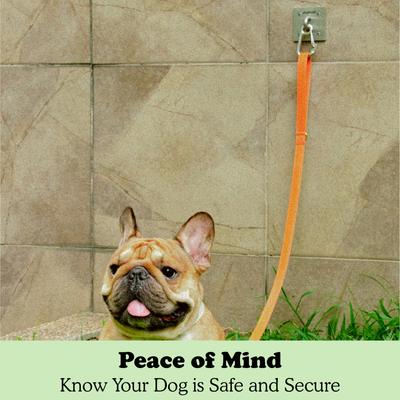 Show full view: Doghook Large Dog Leash Wall Hook with Clip slide 5 of 8