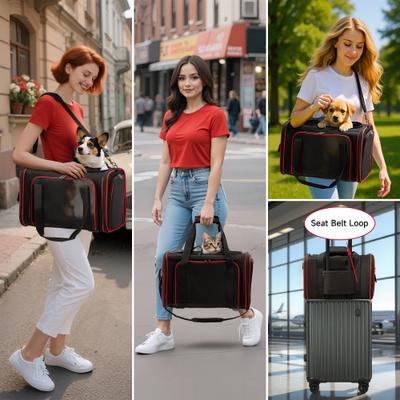 Show full view: EliteField Soft-Sided Airline-Approved Dog & Cat Carrier Bag, Black, 20-in slide 3 of 6