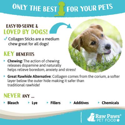 Show full view: Raw Paws Beef Collagen Sticks Dog Treats, 6 inch, 10 count slide 7 of 8