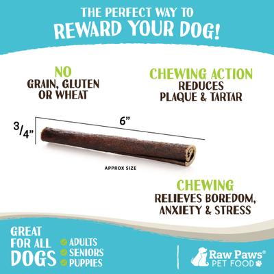 Show full view: Raw Paws Beef Collagen Sticks Dog Treats, 6 inch, 10 count slide 4 of 8