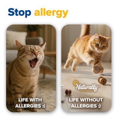 Show full view: Naturally Non Allergic Quick Clumping Cat Litter, 11-lb bag slide 9 of 13