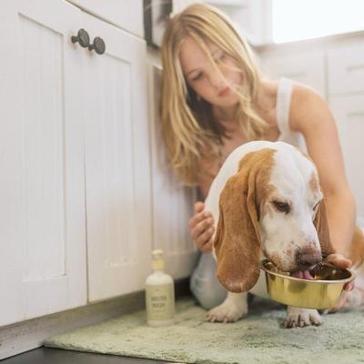 Show full view: Lanana Creek Farms Daily Use Dog Mouth Wash, 7.7-fl oz bottle slide 6 of 7