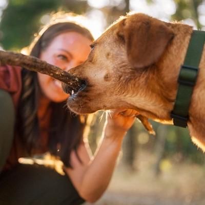 Show full view: Lanana Creek Farms Zoom Boost Electrolyte Hydration Support Liquid Supplement for Dogs, 7.7-fl oz slide 6 of 8