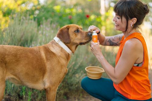 Show full view: Lanana Creek Farms Zoom Boost On-the-Go Hydration Booster Liquid Supplement for Dogs, 2-fl oz slide 5 of 6