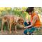 Show in main carousel: Lanana Creek Farms Zoom Boost On-the-Go Hydration Booster Liquid Supplement for Dogs, 2-fl oz slide 6 of 6