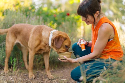 Show full view: Lanana Creek Farms Zoom Boost On-the-Go Hydration Booster Liquid Supplement for Dogs, 2-fl oz slide 6 of 6