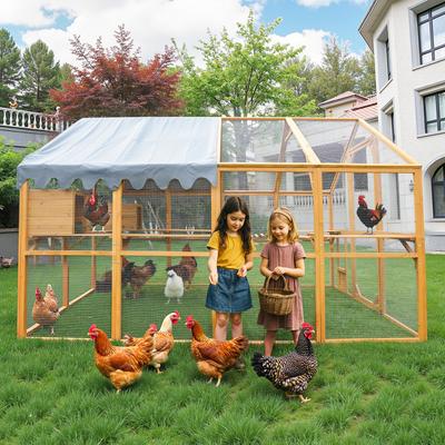 Show full view: MeWang Outdoor 110-in Cat House Enclosure with Platform & Upgraded Waterproof Cover, Yellow, Large slide 3 of 6