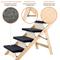 Show in main carousel: MeWang Wooden Portable Foldable 4 Level Dog Ramp for Beds & Cars, Black, Small slide 9 of 10