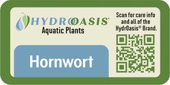 HydrOasis Hornwort Portion Fish Plant slide 2 of 4