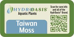 HydrOasis Taiwan Moss Portion Fish Plant slide 2 of 4