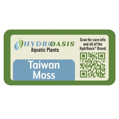 Show full view: HydrOasis Taiwan Moss Portion Fish Plant slide 4 of 4