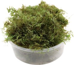 HydrOasis Christmas Moss Portion Fish Plant