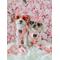 Show in main carousel: Sassy Woof Dolce Rose Dog Harness & Leash, XX-Large: 25 to 37-in chest slide 8 of 8