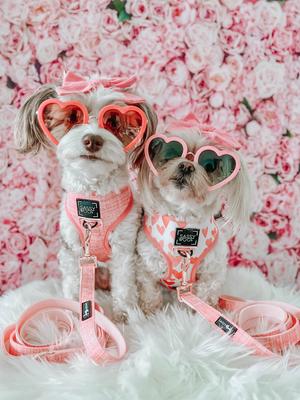 Show full view: Sassy Woof Dolce Rose Dog Harness & Leash, XX-Large: 25 to 37-in chest slide 8 of 8