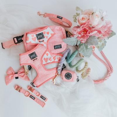 Show full view: Sassy Woof Dolce Rose Dog Harness & Leash, XX-Large: 25 to 37-in chest slide 7 of 8