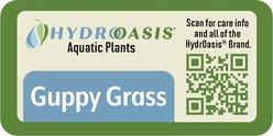 HydrOasis Guppy Grass Portion Fish Plant slide 2 of 3