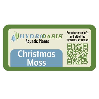Show full view: HydrOasis Christmas Moss Portion Fish Plant slide 4 of 4