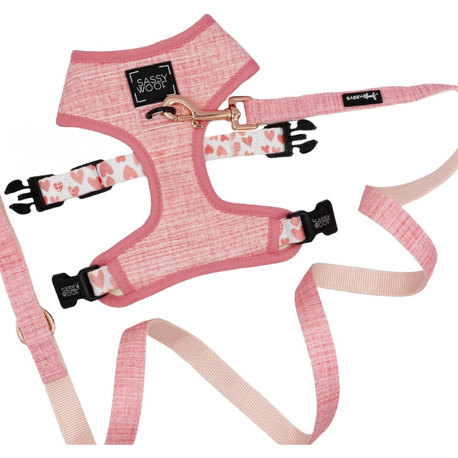 Sassy Woof Dolce Rose Dog Harness & Leash, Medium: 18 to 25-in chest