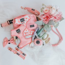 Sassy Woof Dolce Rose Dog Harness & Leash, X-Small: 14 to 19-in chest slide 2 of 8