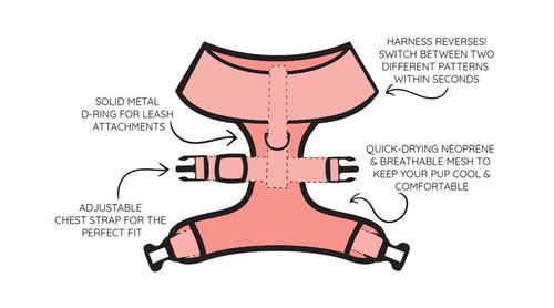 Show full view: Sassy Woof Dolce Rose Dog Harness & Leash, XX-Large: 25 to 37-in chest slide 5 of 8