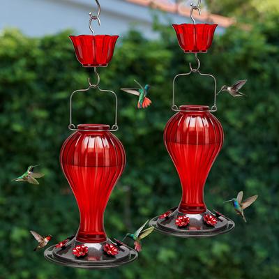 Show full view: Kingsyard Glass Hummingbird Soda Bottle Feeder, Red, 24-oz, 2 count slide 3 of 8