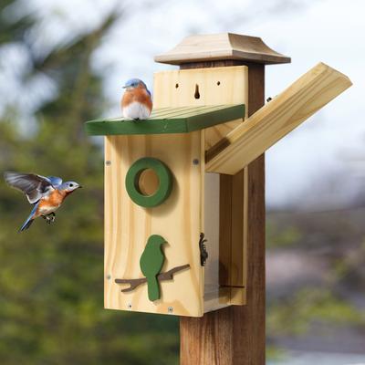 Show full view: Kingsyard Classic Bird House with Predator Guard, Green slide 6 of 8