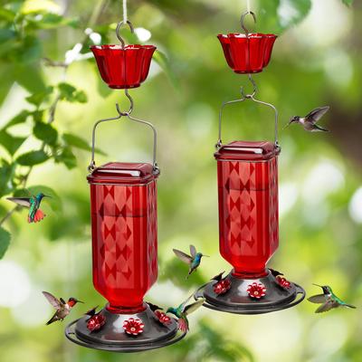 Show full view: Kingsyard Outdoor Glass Hummingbird Feeder, Red, 2 count slide 3 of 8