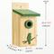 Show in main carousel: Kingsyard Classic Bird House with Predator Guard, Green slide 2 of 8