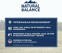 Natural Balance Health Protection Large Breed Salmon & Rice Recipe Dry Dog Food, 26-lb bag slide 2 of 9