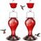 Show in main carousel: Kingsyard Glass Hummingbird Soda Bottle Feeder, Red, 24-oz, 2 count slide 1 of 8