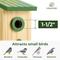 Show in main carousel: Kingsyard Classic Bird House with Predator Guard, Green slide 3 of 8