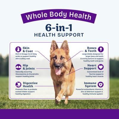 Show full view: Natural Balance Health Protection Large Breed Salmon & Rice Recipe Dry Dog Food, 26-lb bag slide 5 of 10