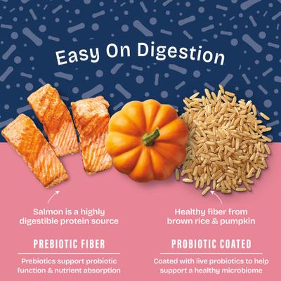 Show full view: Natural Balance Health Protection Large Breed Salmon & Rice Recipe Dry Dog Food, 26-lb bag slide 6 of 10