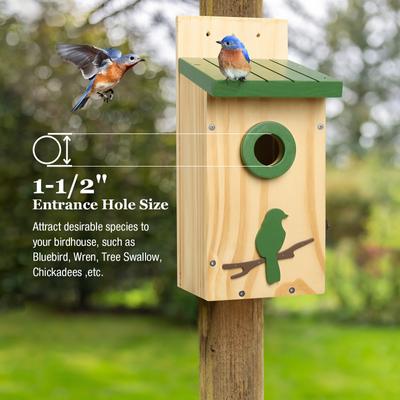 Show full view: Kingsyard Classic Bird House with Predator Guard, Green slide 5 of 8